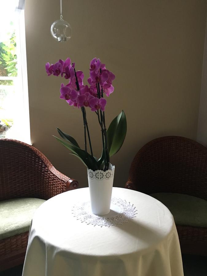 Guest house Kamil 3*
